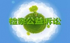  2018年檢察機(jī)關(guān)生態(tài)環(huán)境公益訴訟