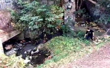  巡查人員深入探“敵情”