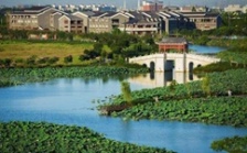  環(huán)保促發(fā)展系列報道（2）｜從“優(yōu)環(huán)境”到“強產業(yè)”再到“惠民生” 東莞市麻涌鎮(zhèn)走通綠色發(fā)展“閉環(huán)”