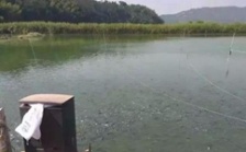  水產(chǎn)養(yǎng)殖水質(zhì)檢測標準，這五個方面讓水質(zhì)恢復(fù)清新