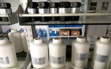  什么是氨氮總磷總氮？