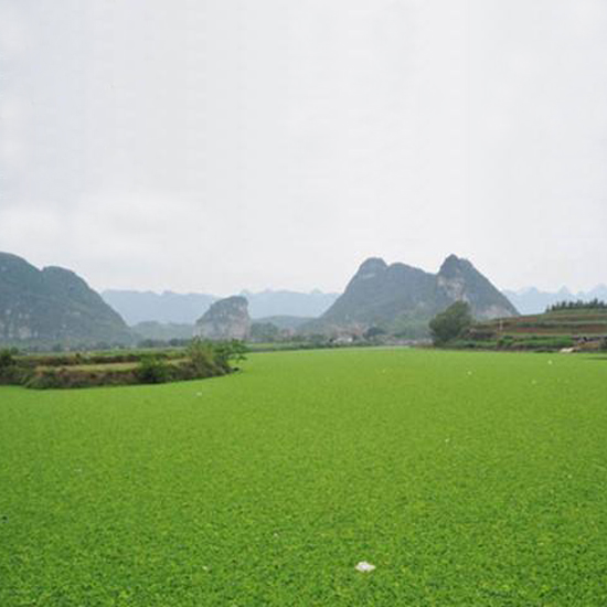  氣溫下降，我的氨氮超標(biāo)怎么辦